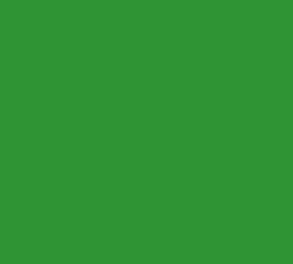 Bandeira Verde - Banderart