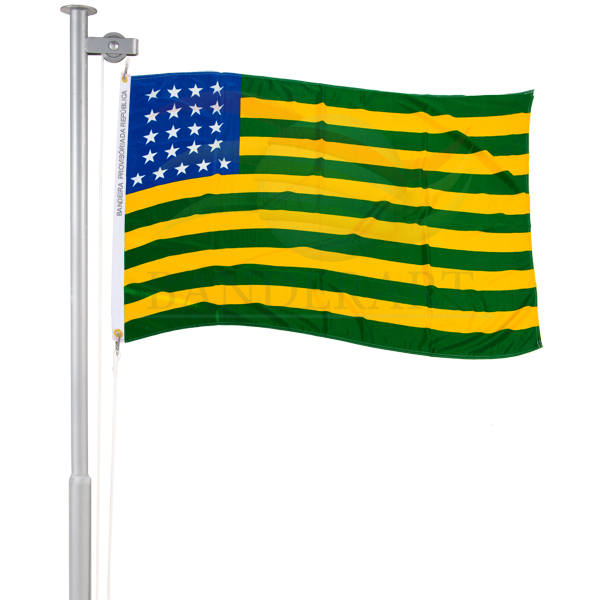 Bandeira Provisória da República (15 a 19 de Novembro de 1899)