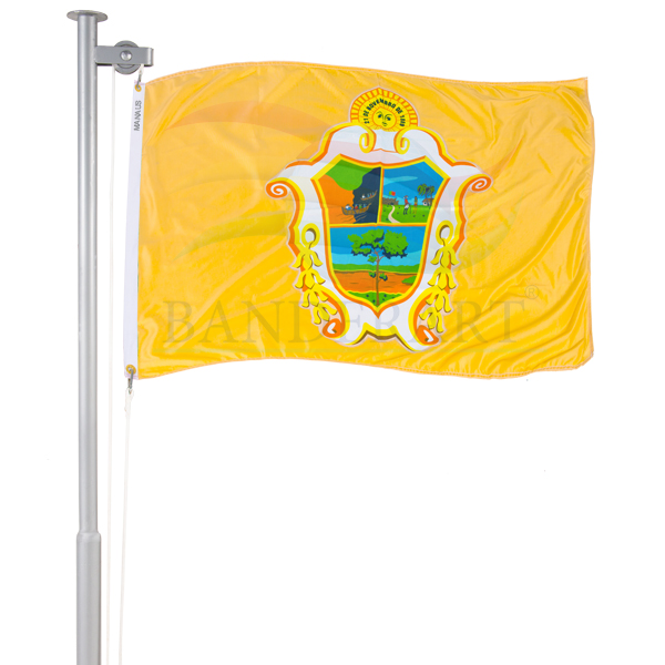 Bandeira de Manaus