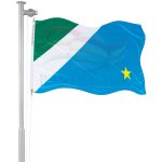Bandeira do Mato Grosso do Sul