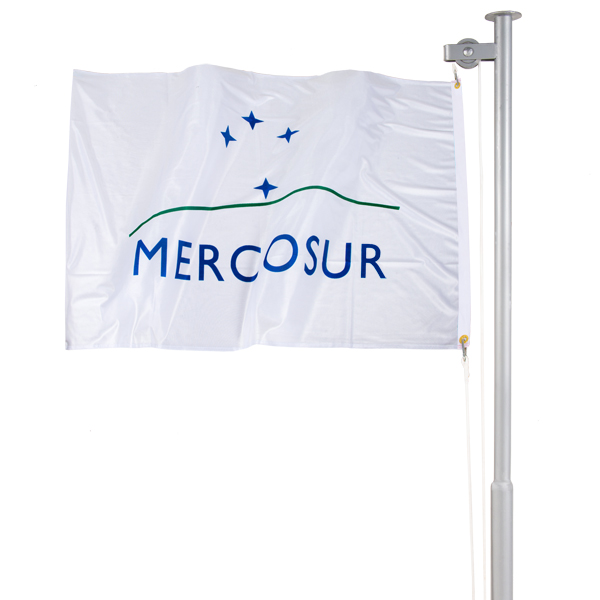 Bandeira do Mercosul Verso