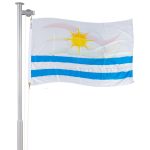 Bandeira de Palmas