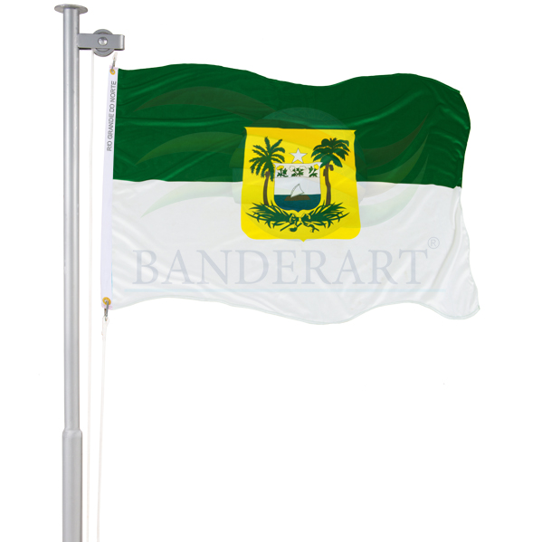 Bandeira do Rio Grande do Norte - Banderart
