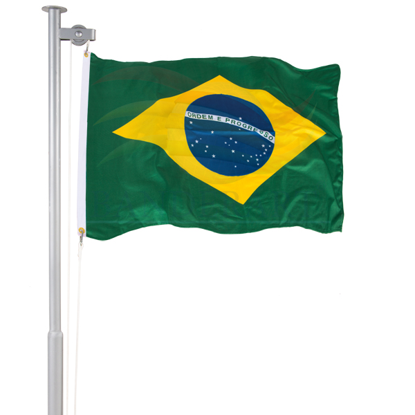 Bandeira de Rondônia - Banderart